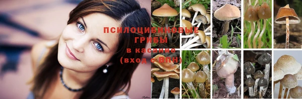 твердый Краснотурьинск