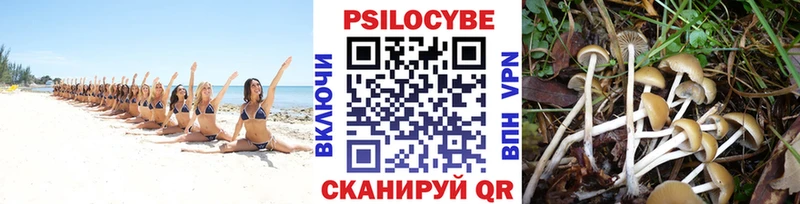 Псилоцибиновые грибы ЛСД  Купить  Гуково 
